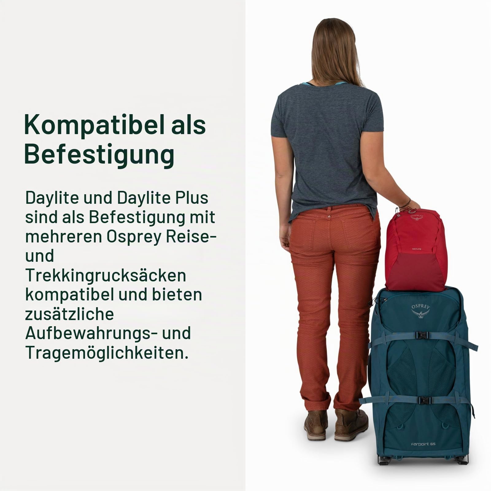 Osprey Daylite Plus Pendlerrucksack