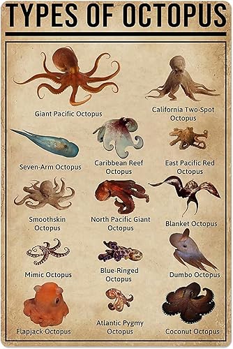 Tipos de pulpo, letreros de metal de hojalata con conocimiento de pulpo, póster de metal retro, guía de referencia de pescador, placas para el