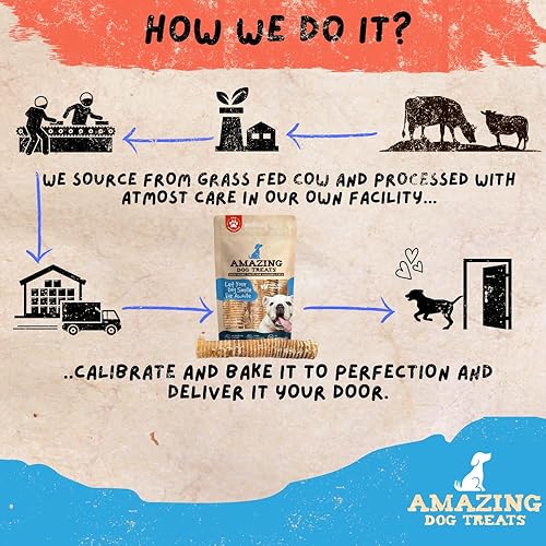 Miniatura 9 de Amazing Dog Treats - 6 Inch Beef Trachea Dog Chews (10 pcs - 16.5 oz) - Trachea Dog Treats - NO Hide - Digestible and Safe Chews for Dogs