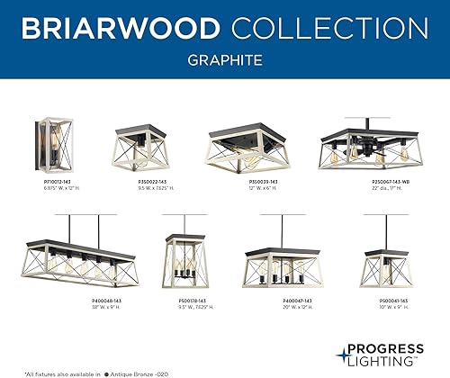 Vista 16 de Progress Lighting Briarwood Collection - Mini-colgante costero (grafito), color negro