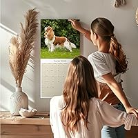 Vista 446 de Razas de Perros 2017