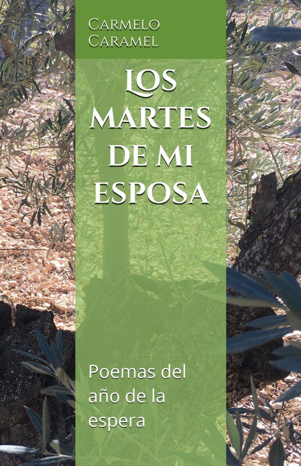 Los martes de mi esposa