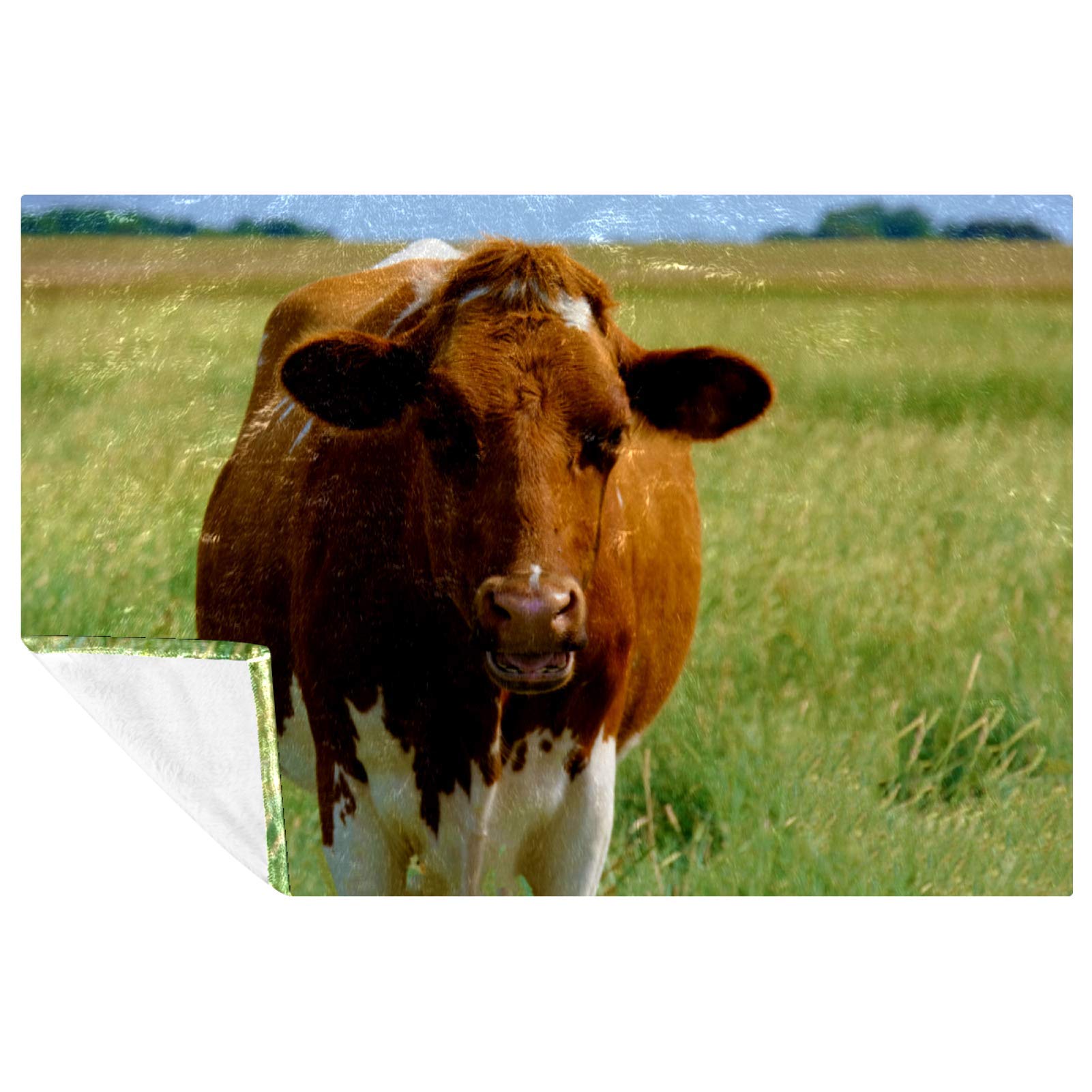 Couverture vache 150x100 cm douce et chaude pour lit et canapé