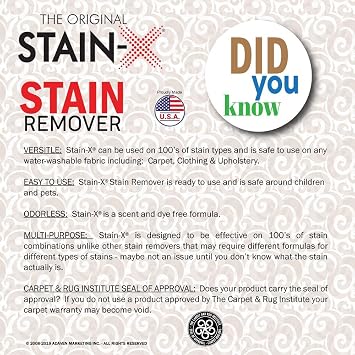 STAIN-X Cleaner | Effective Stain Remover for Laundry, Carpet, Clothing, Upholstery and Other Washable Fabrics - Value Pack (128 oz)