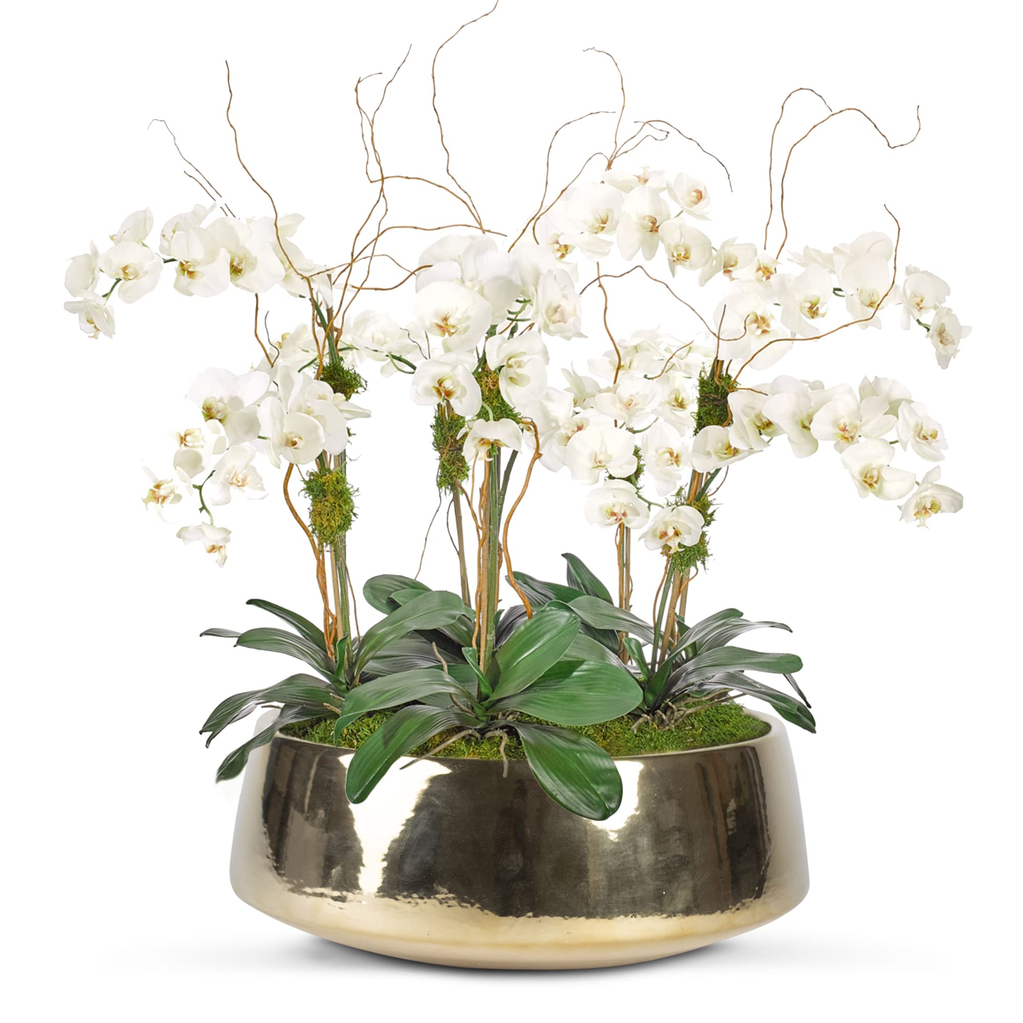 Amazon.com : Round Sleek Gold Ceramic Centerpiece Planter