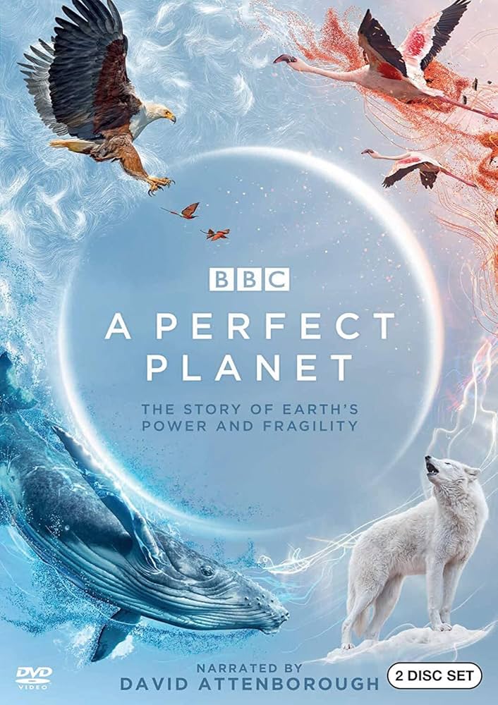 その他 Adventure of the Little Prince: Perfect Planet [DVD] Adventure of the Little Prince: Perfect Planet [DVD]