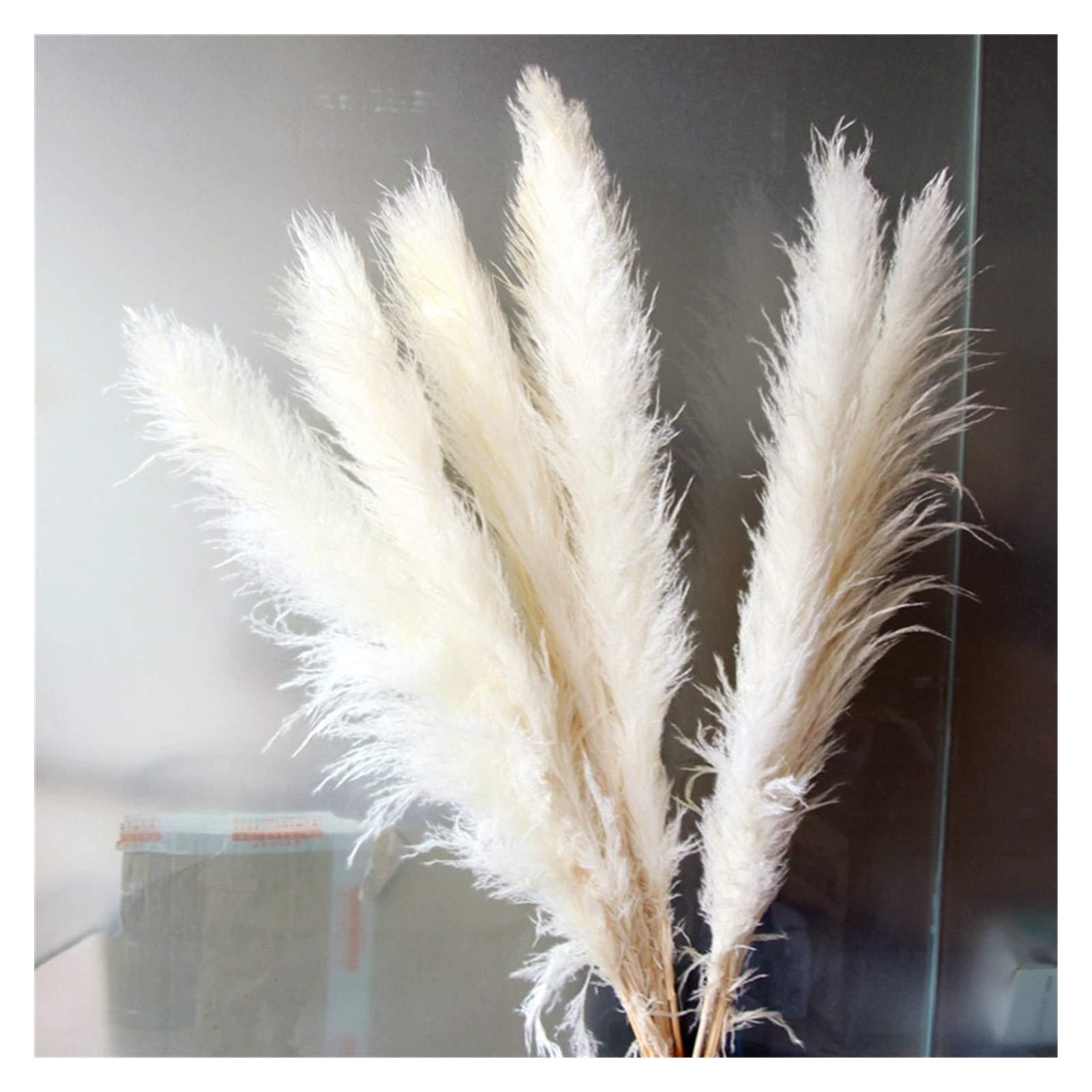 Pampasgras Deko 80cm Natürliches Schilfgetrocknet Getrocknete große Pampas Gras Bouquet DIY Hochzeit Blumenzeremonie Dekoration Modernes Wohnkultur Trockenblumen
