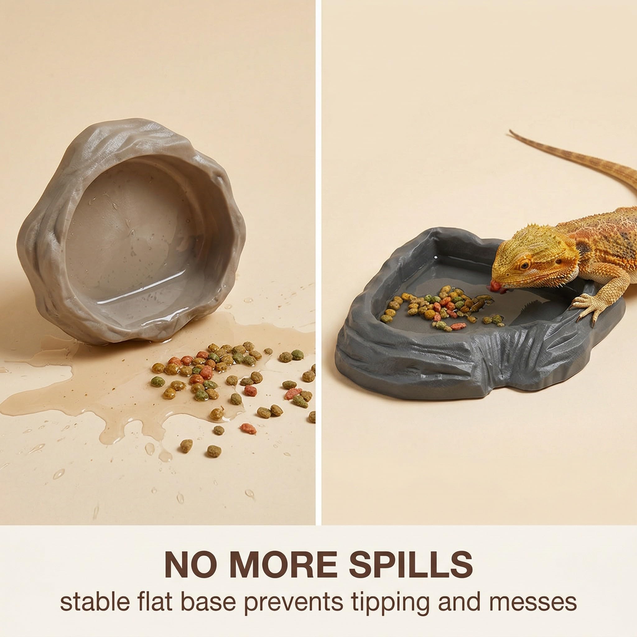 2 Pièces Bol D'Alimentation Pour Reptiles Nourriture Tortue Terrestre, Nourriture Pour Bol Pour Reptiles En Feuilles, Bol À Boire Pour Maison De Tortue, Bol D'Eau Pour Reptiles