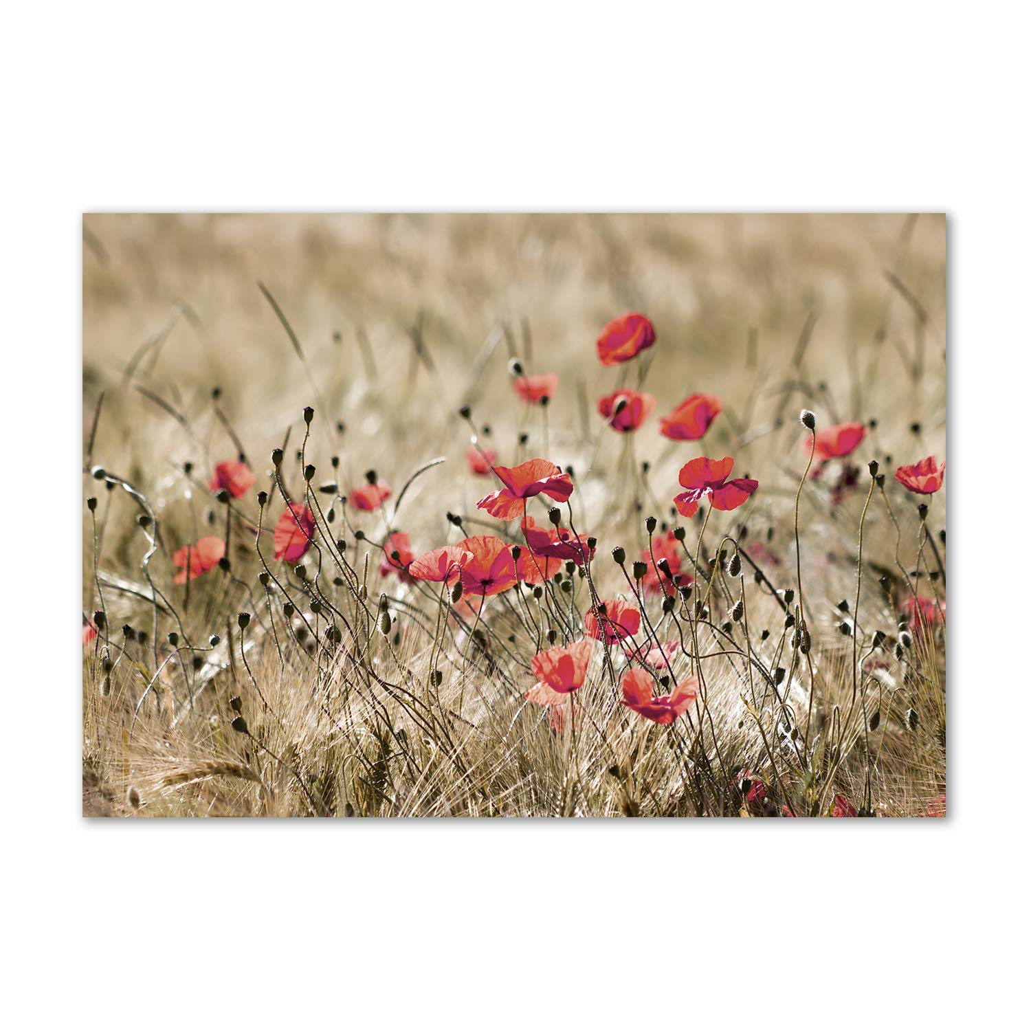 Panel antisalpicaduras de vidrio Tulup 100x70cm protege tu cocina con estilo rojo
