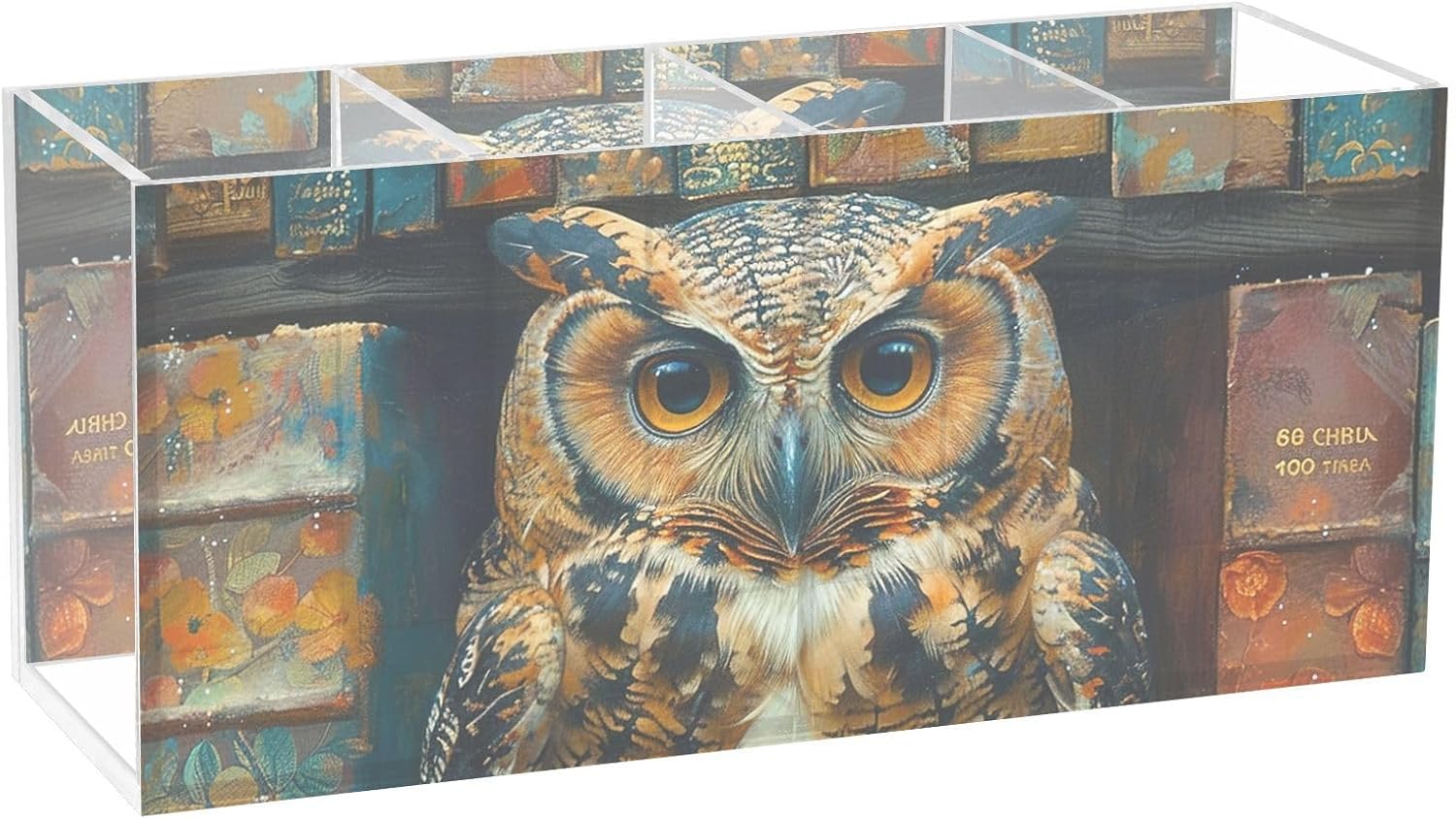 Acrylic Pen Holder Owl Book Sit 4 Compartments Funny Cute Cool Anime Acrylic Pen Organizer Pencil Holder for Desk Hair Brush Holder