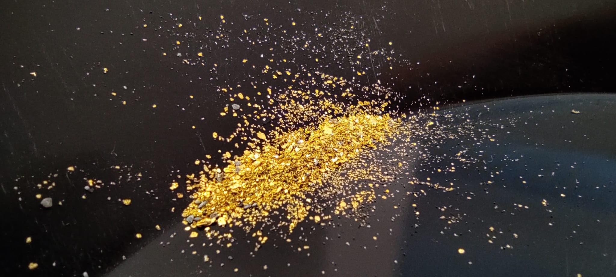 Paydirt Feingold zum Goldwaschen, GOLDSAX (100 mg)