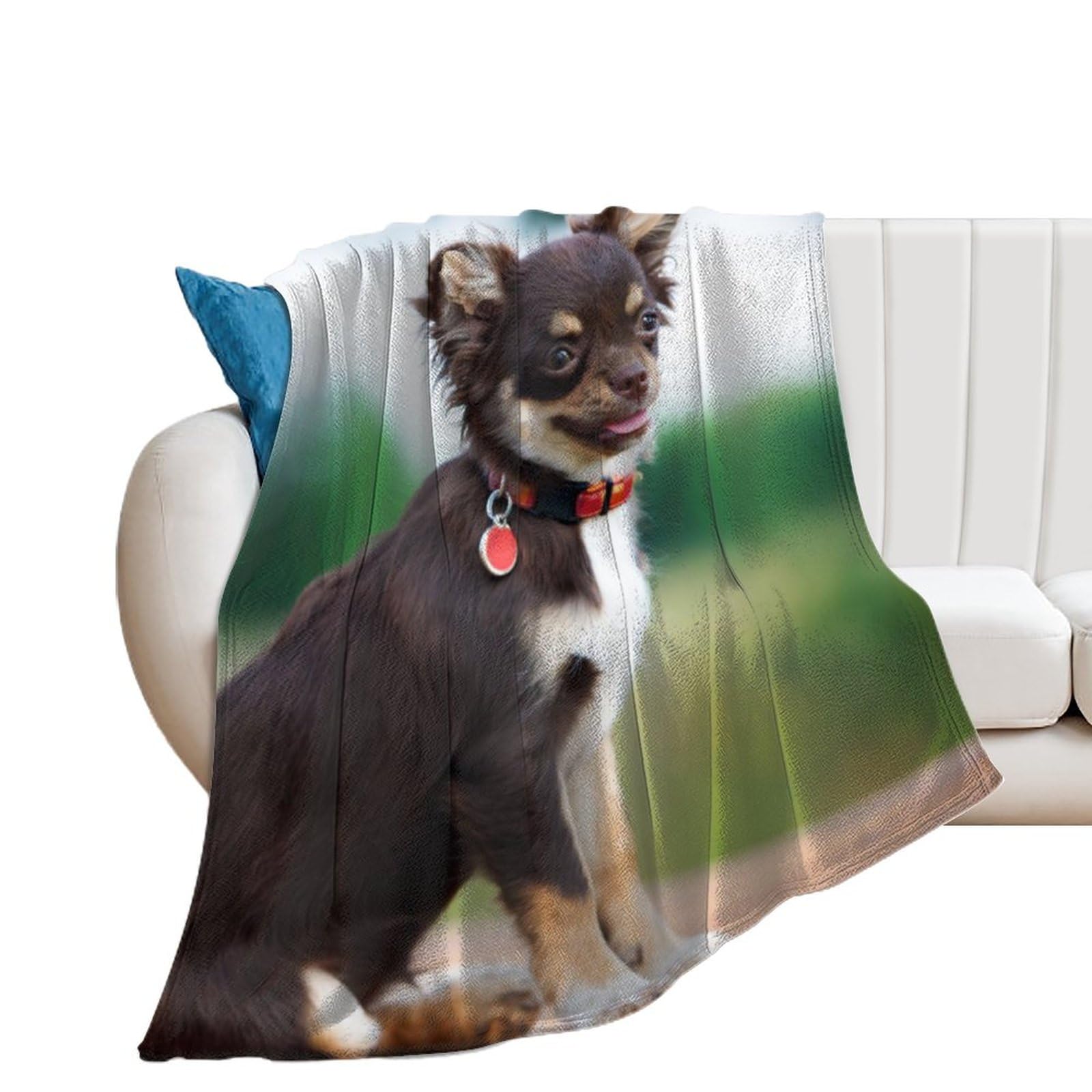 Couverture polaire chien chat plaid lit chambre tapis protection canapé