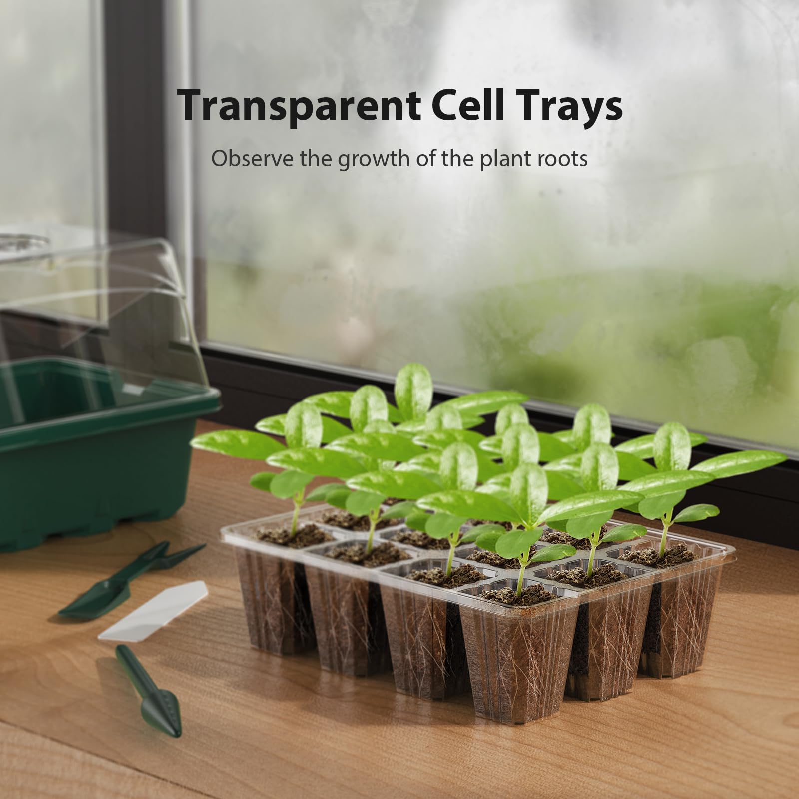 Plateau de démarrage de semences, 10 pièces, plateaux de démarrage de semis avec couvercles surélevés pour semis, plateaux de germination de plantes de jardinage d'intérieur (12 cellules par