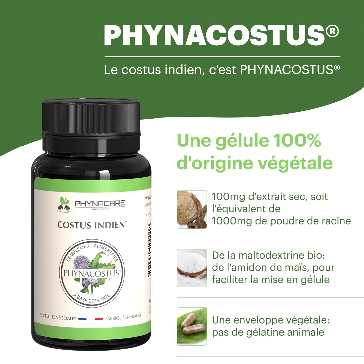 COSTUS INDIEN - COSTUS MARIN - 60 GÉLULES VÉGÉTALES - PHYNACOSTUS, FABRIQUE ET ANALYSÉ EN FRANCE, PHYNACARE LABORATOIRE