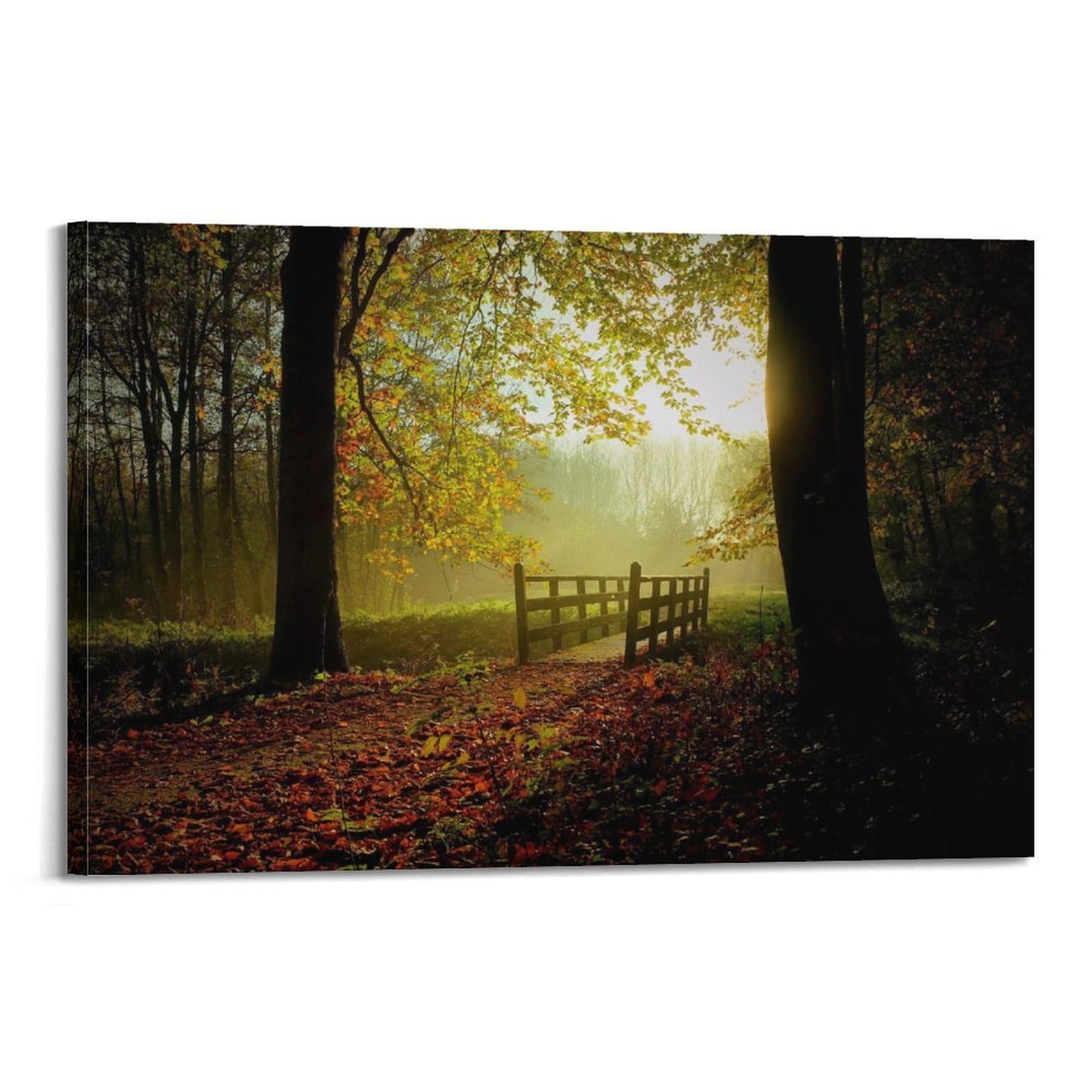 CXHJCA Mural Nature Poster Jungle Sunny Fall Day Nature Scenery Poster Decorative Painting Canvas Wall Posters And Art Picture Print Modern Family Bedroom Decor Posters 24x36inch(60x90cm)