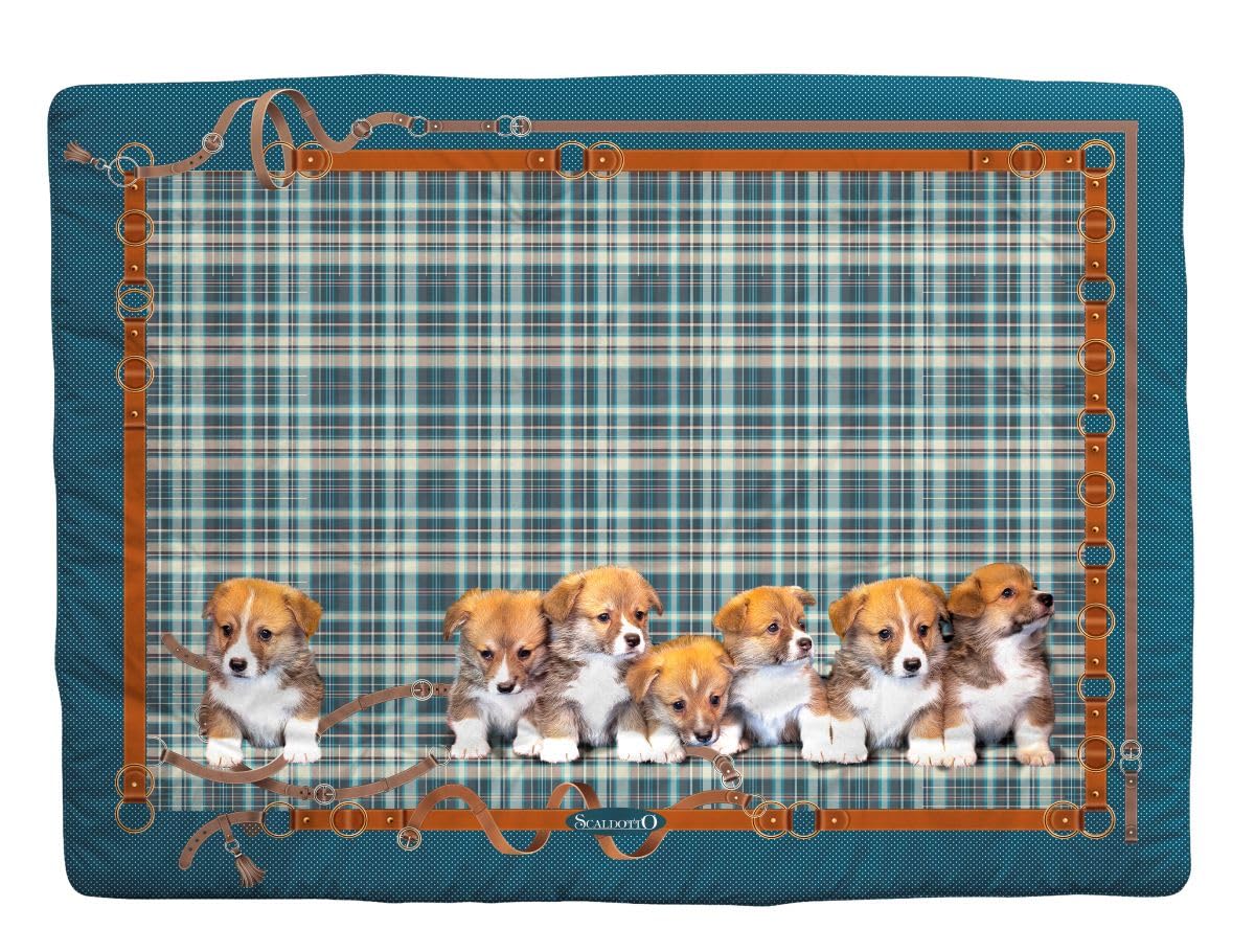 Caleffi Scaldotto Plaid Trapuntato Cucciolo Imbottito per Bambini (Blu)