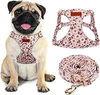 Vista 17 de CHEDE No Pull Floral Pattern Dog Harness - Lightweight and Soft, Adjustable Small Dog Harness Set with Leash, Suitable for Puppy to Medium-Sized Dog