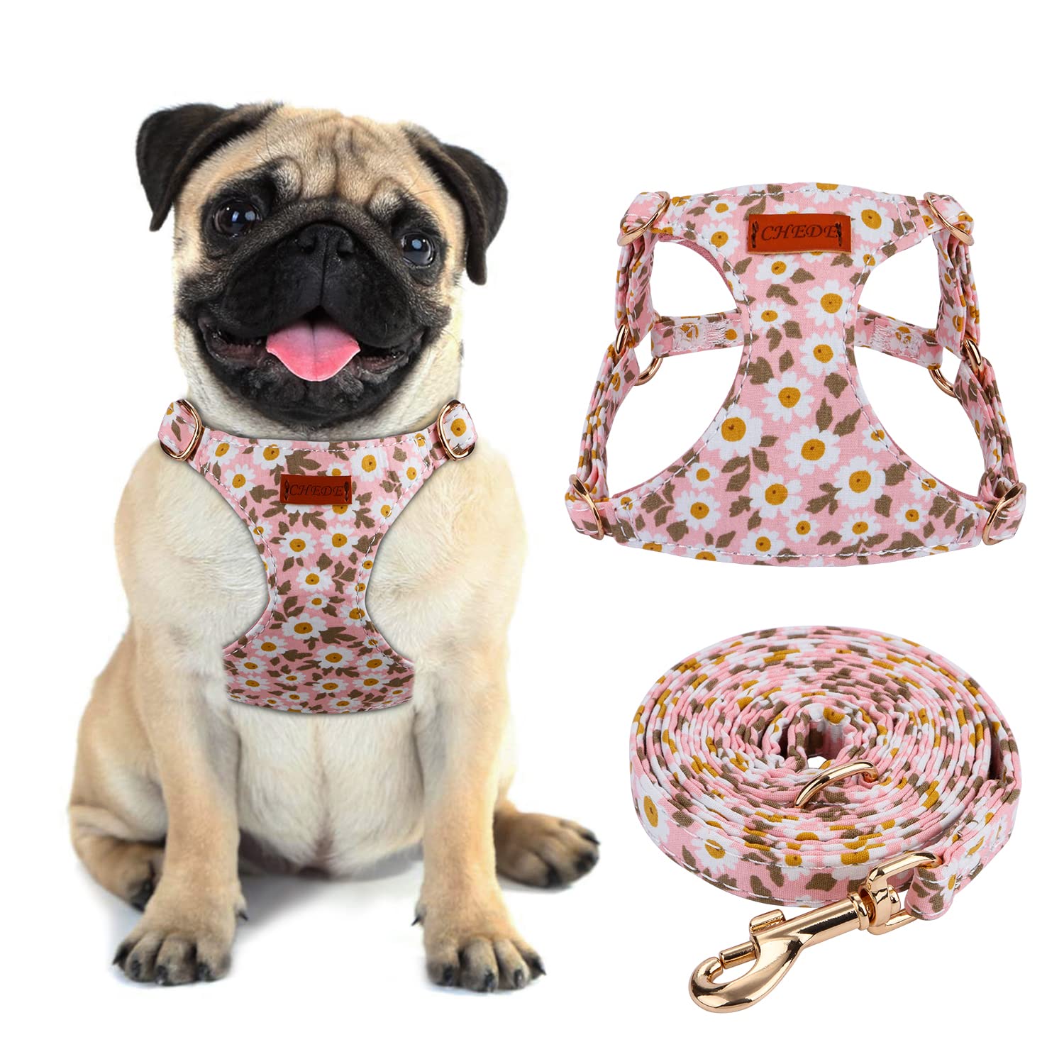 CHEDE No Pull Floral Pattern Dog Harness- Lightweight, Soft, Adjustable Small Harness and Leash Set, Suitable for Puppy Small and Medium-Sized Dog (M,