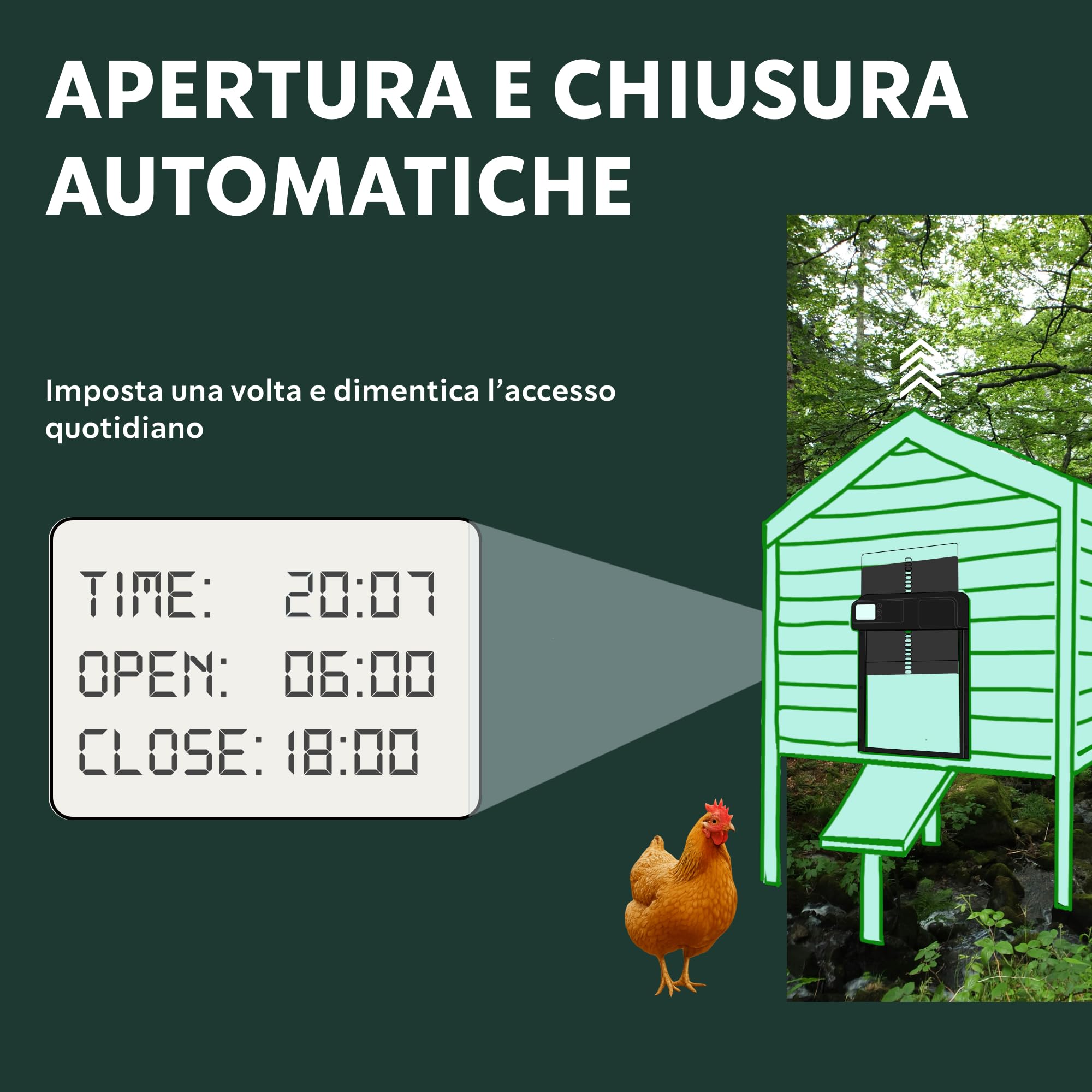 Porta Automatica per Pollaio - Chiusura Programmata e Sicura