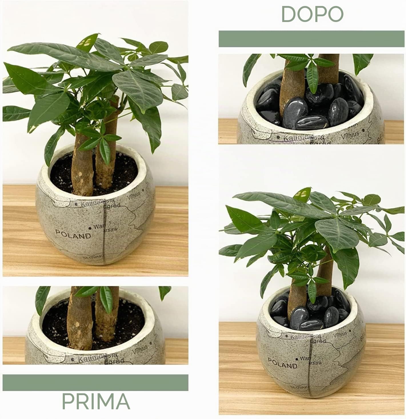 LATERN 1KG Ciottoli Naturali, Pietre di Fiume Lucidate Nere Ciottoli Decorativi Rocce di Fiume per Piante di Bambù, Acquario, Riempitivi per Vasi, Giardino delle Fate, Decorazioni per Acquari