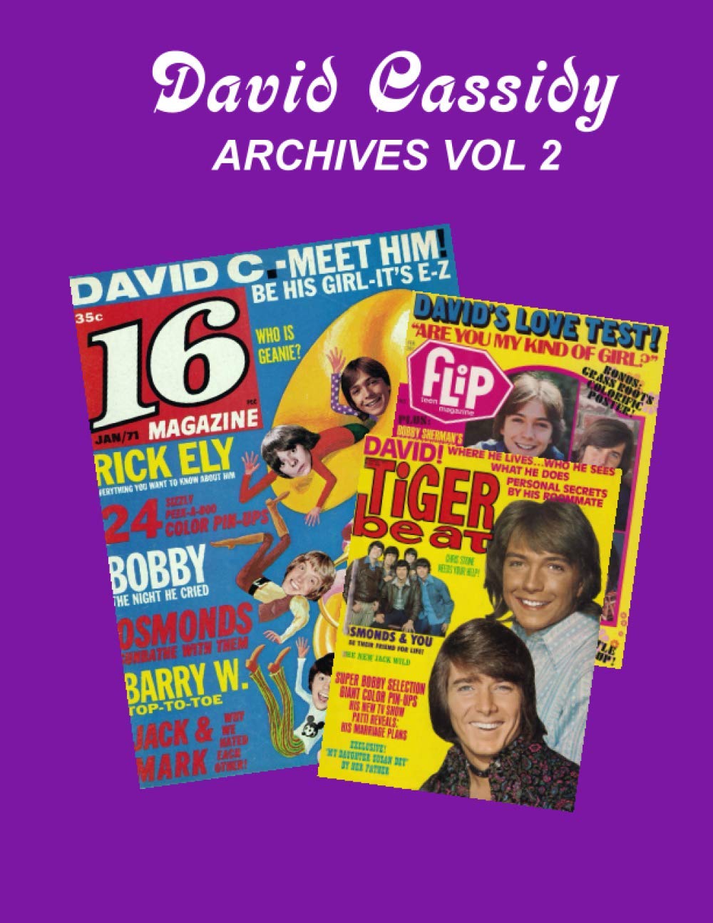 David Cassidy Archives Vol 2