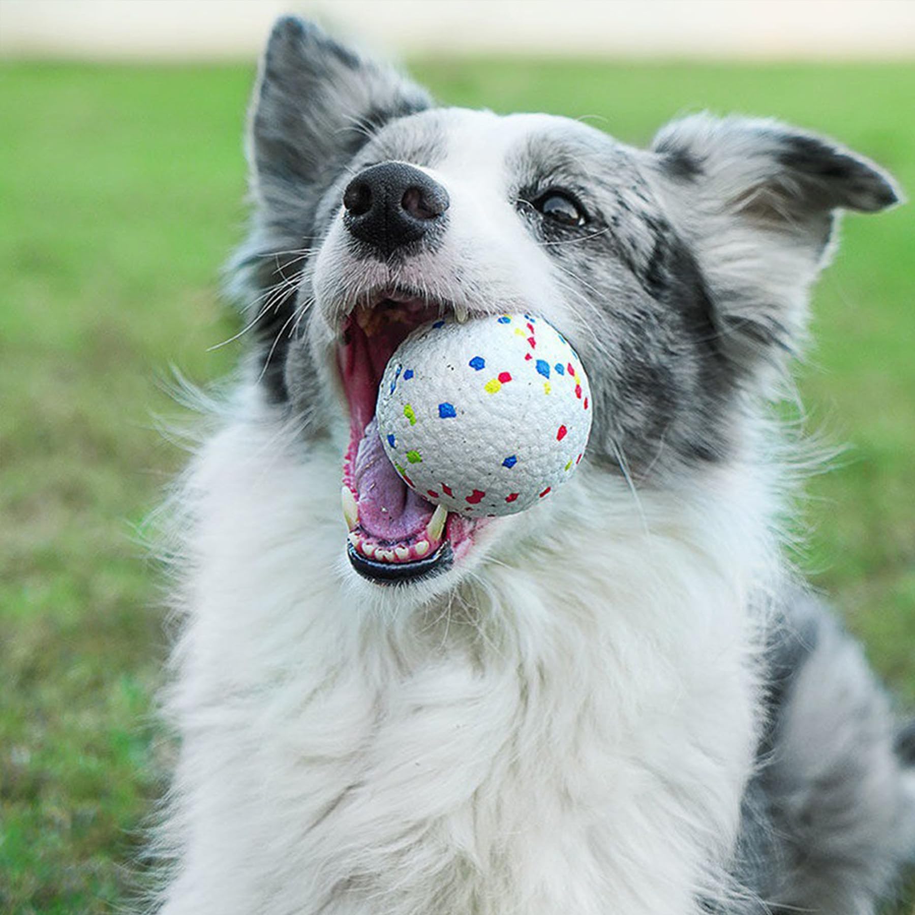 Lanceur de Balle Automatique pour Chien - Jouet Intelligent Réglable pour Jardin/Intérieur, Angle & Distance, Portable, Faible Bruit, avec 3 Balles pour Chien (26.3x19.8x28cm)