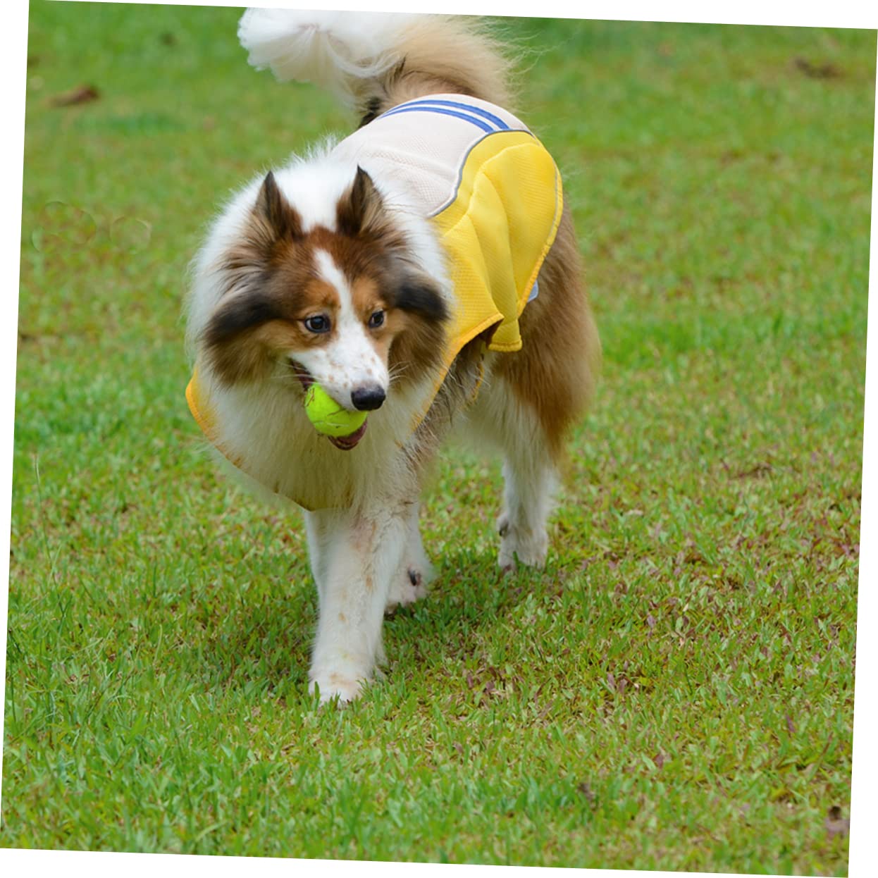 BESPORTBLE Kühlweste Für Hunde Atmungsaktive Hundeweste Mit Sonnenschutz Leicht Und Bequem Für Sommertage Verstellbar Und Strapazierfähig Für Freies Bewegen