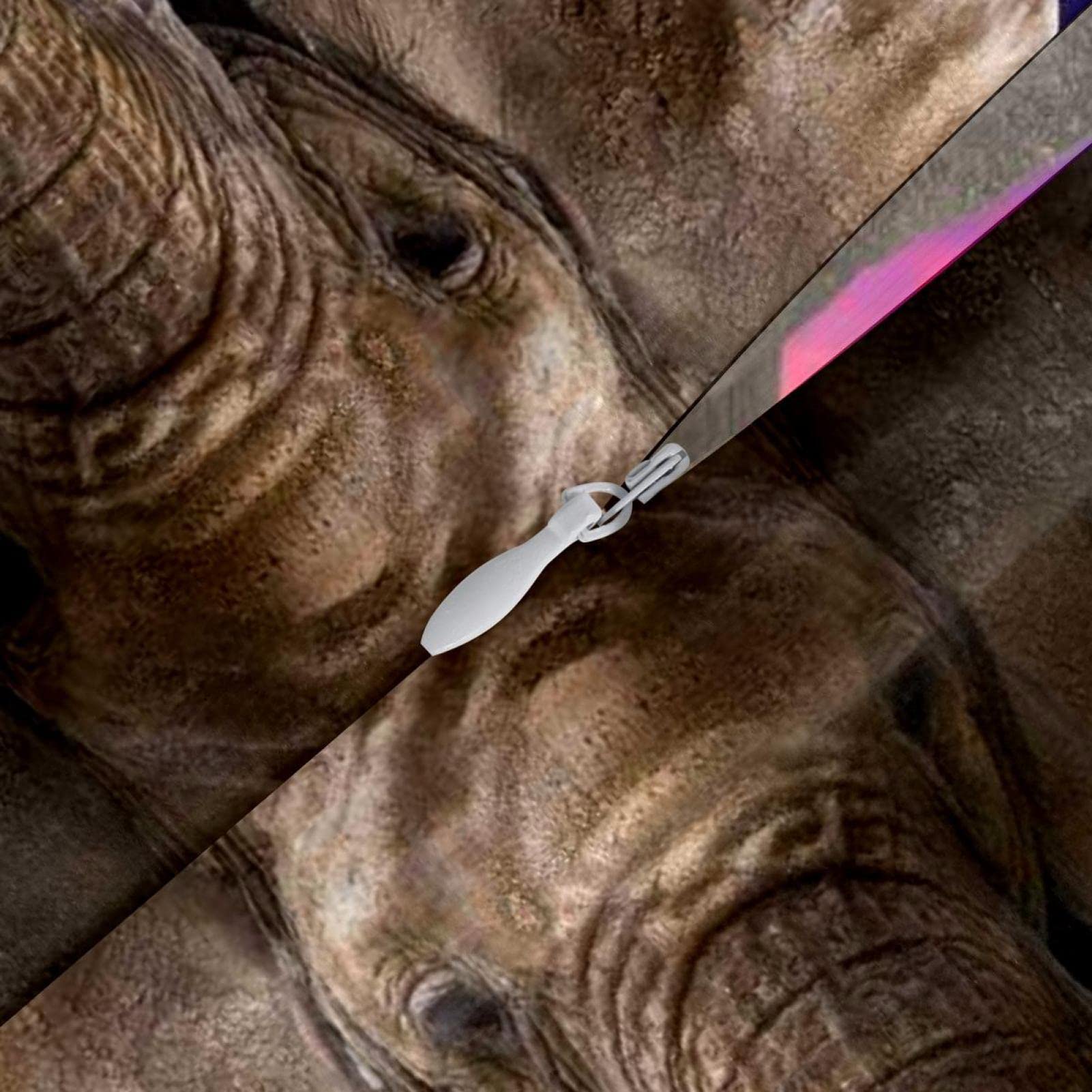 Funda de Almohada con Cierre de Cremallera Fundas de Almohada cuadradas para sofá, tamaño estándar<18x18in>,Animal de Elefante Africano