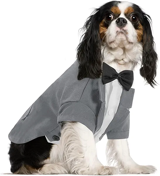 Queenmore Dog Tuxedo - Formal Pet Outfit for Dogs & Cats, Tuxedo with Tie - Grey (L), Dog Halloween Costume, Suitable for Medium to Large Dogs