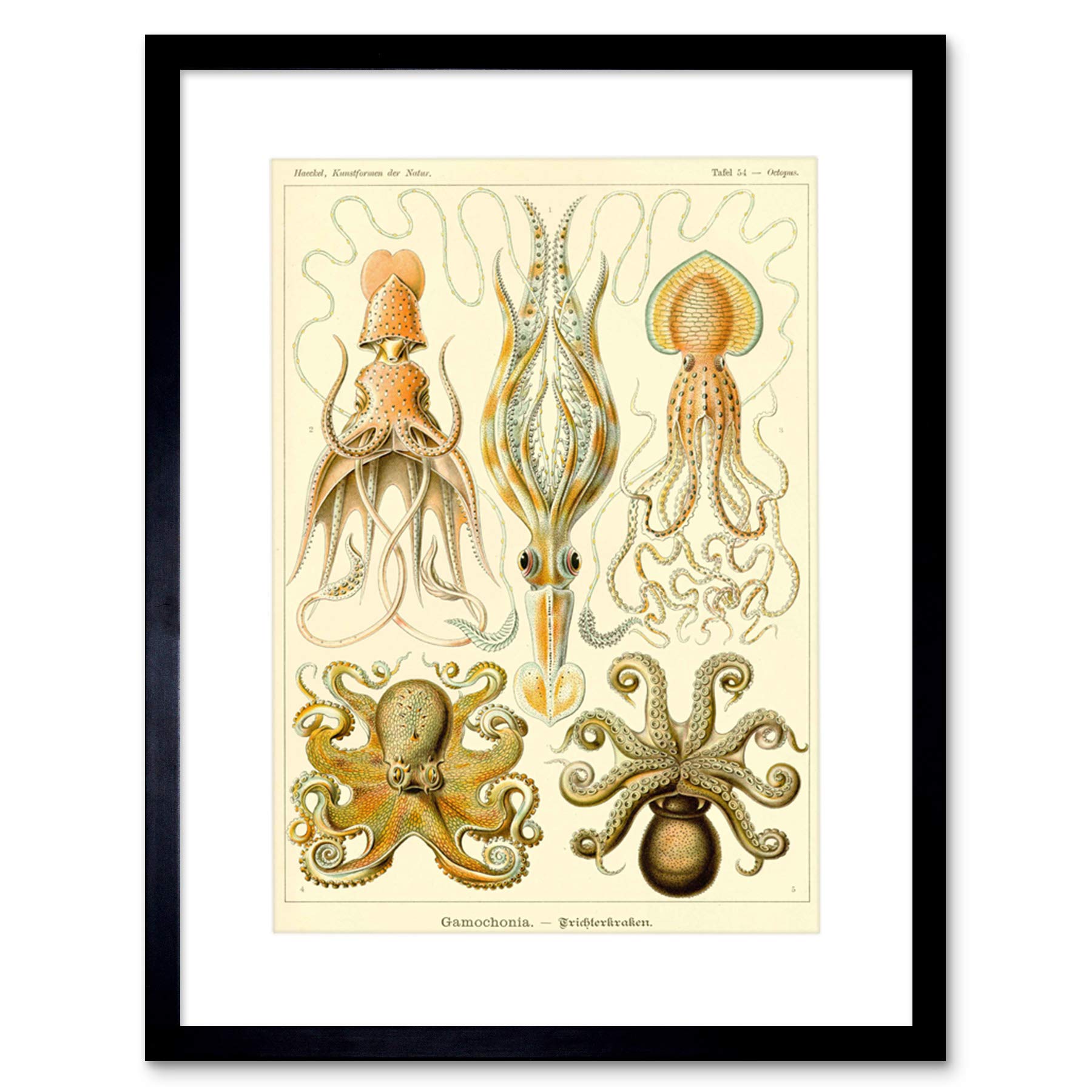 Artery8 Framed Art Print - Octopus Biology - Beige - 12x16"
