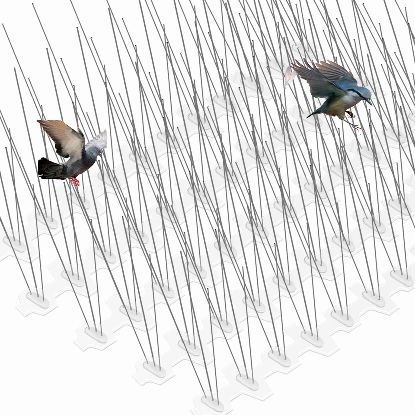 Bird Spikes 24 Packs Pigeon Repellent Anti Bird Deterrent Stainless Steel Cat Spikes Strip with Uninstalled Pins for Small Animal Outdoor Roof Fence Wall (11x4x30cm)