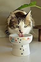 Vista 6 de Necoichi Elevated Cat Water Bowl – Ceramic Raised Cat Bowl, Prevents Neck & Whisker Fatigue – Dishwasher & Microwave Safe – Pet Water Bowl for Cats
