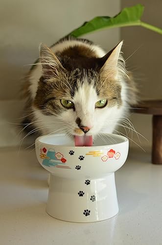 Miniatura 6 de Necoichi Elevated Cat Water Bowl – Ceramic Raised Cat Bowl, Prevents Neck & Whisker Fatigue – Dishwasher & Microwave Safe – Pet Water Bowl for Cats