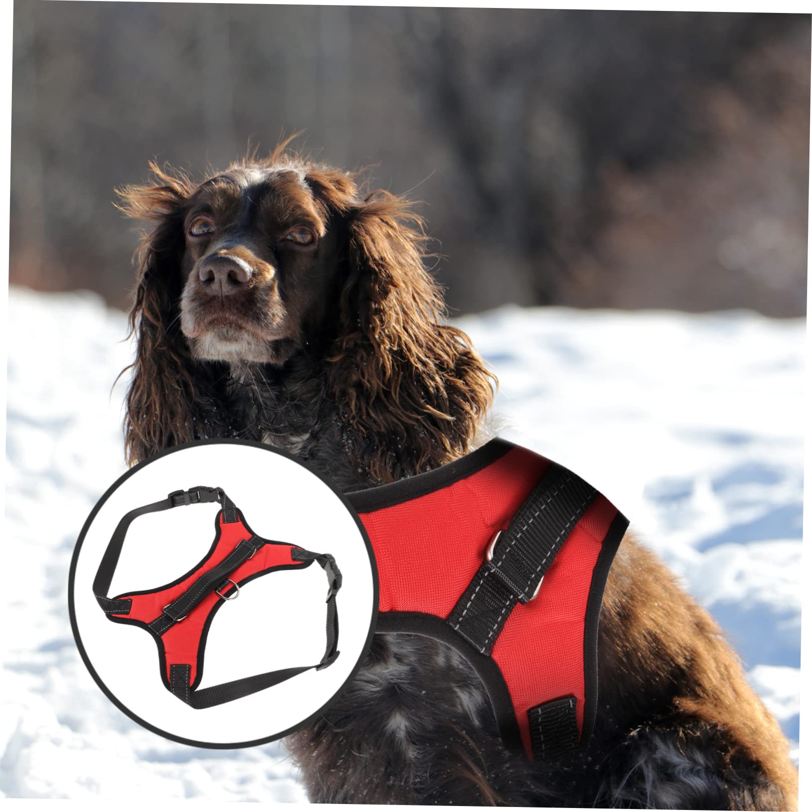 Kisangel Conjunto De 4 Correas Reflectantes De Malla Transpirable para Perros Resistentes Al Desgaste Y Ajustables para Pasear A Tu Mascota.