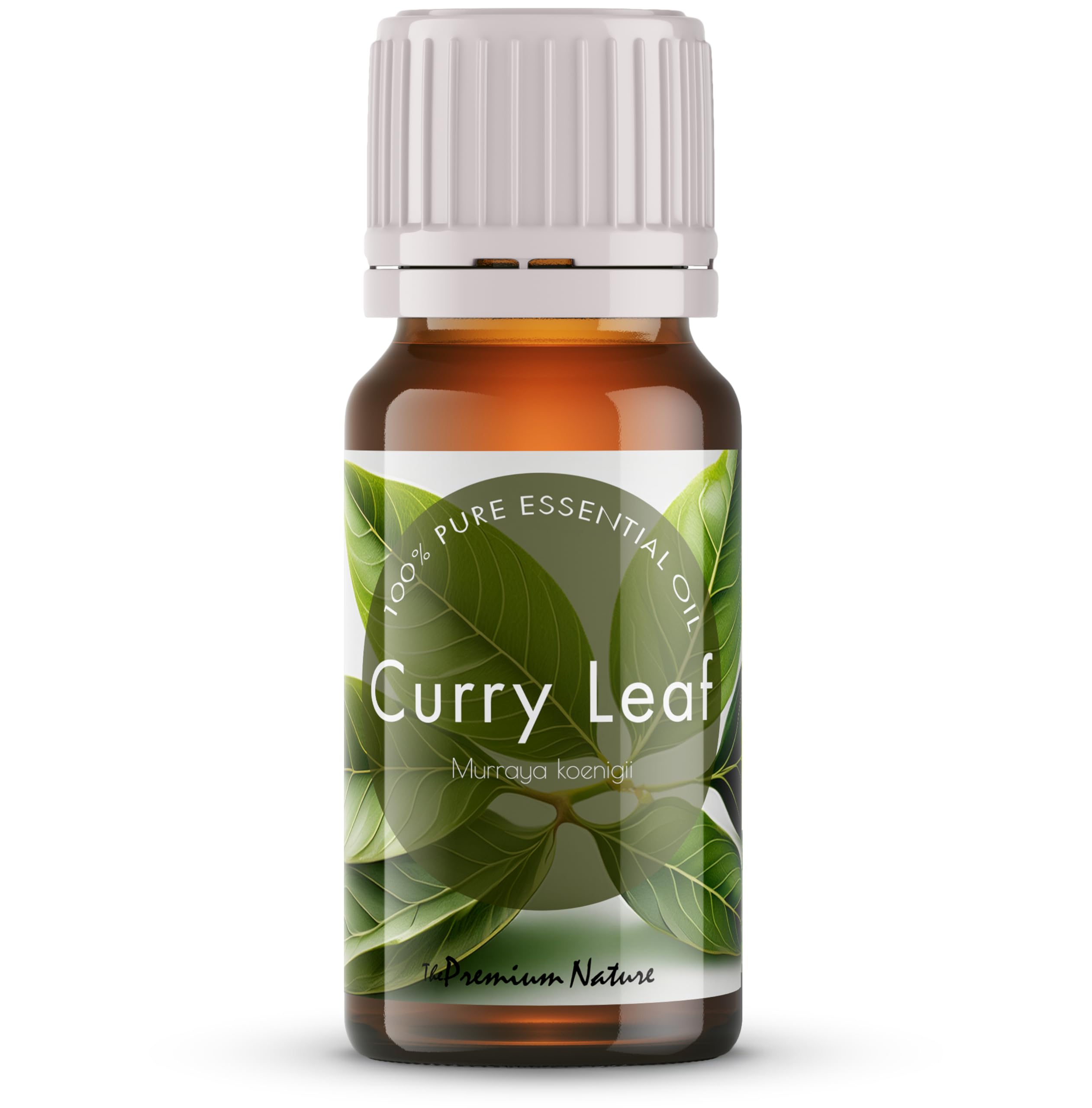 The Premium Nature Curry Leaf Essential Oil for Skin | 100% Natural | Perfect for Hair, Diffusers, Aromatherapy, Massage, Candle Making & DIY - Herbaceous & Spicy Scent, 10 mL