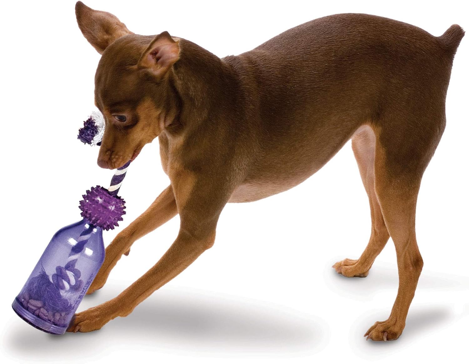 PetSafe Busy Buddy Tug-A-Jug Meal-Dispensing Dog Toy Use with Kibble or Treats