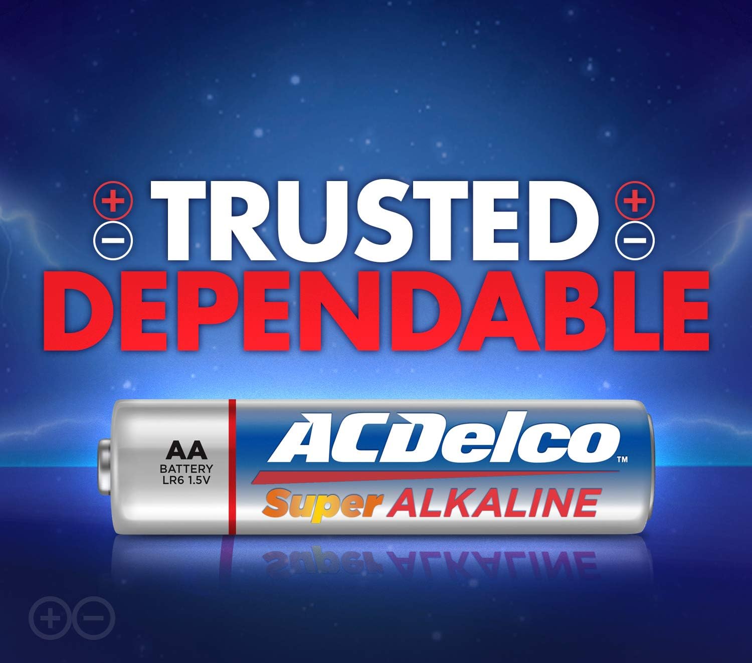 ACDelco 48-Count AA Batteries, Maximum Power Super Alkaline Battery, 10-Year Shelf Life, Recloseable Packaging : Health & Household
