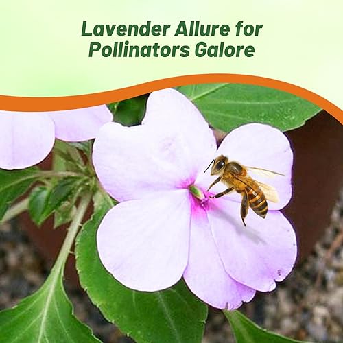 Miniatura 6 de Outsidepride Impatiens - Plantas de flores de jardín con sombra de lavanda para macetas, cestas colgantes, contenedores, cajas de ventana, 200