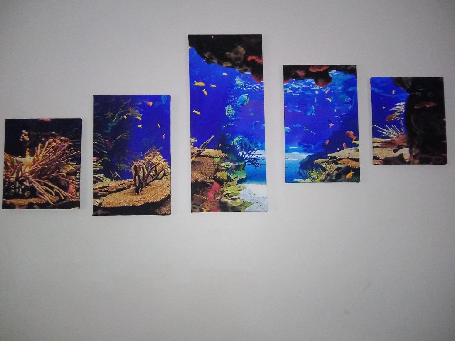 Ocean Fish Picture for Living Room Underwater World Painting Coral Reef Artwork Undersea Sea Life Wall Art 5 Piece Print on Canvas Giclee Aquarium Home Modern Decor Framed Ready to Hang(50''W x 24''H) 50WX24H Artwork-17