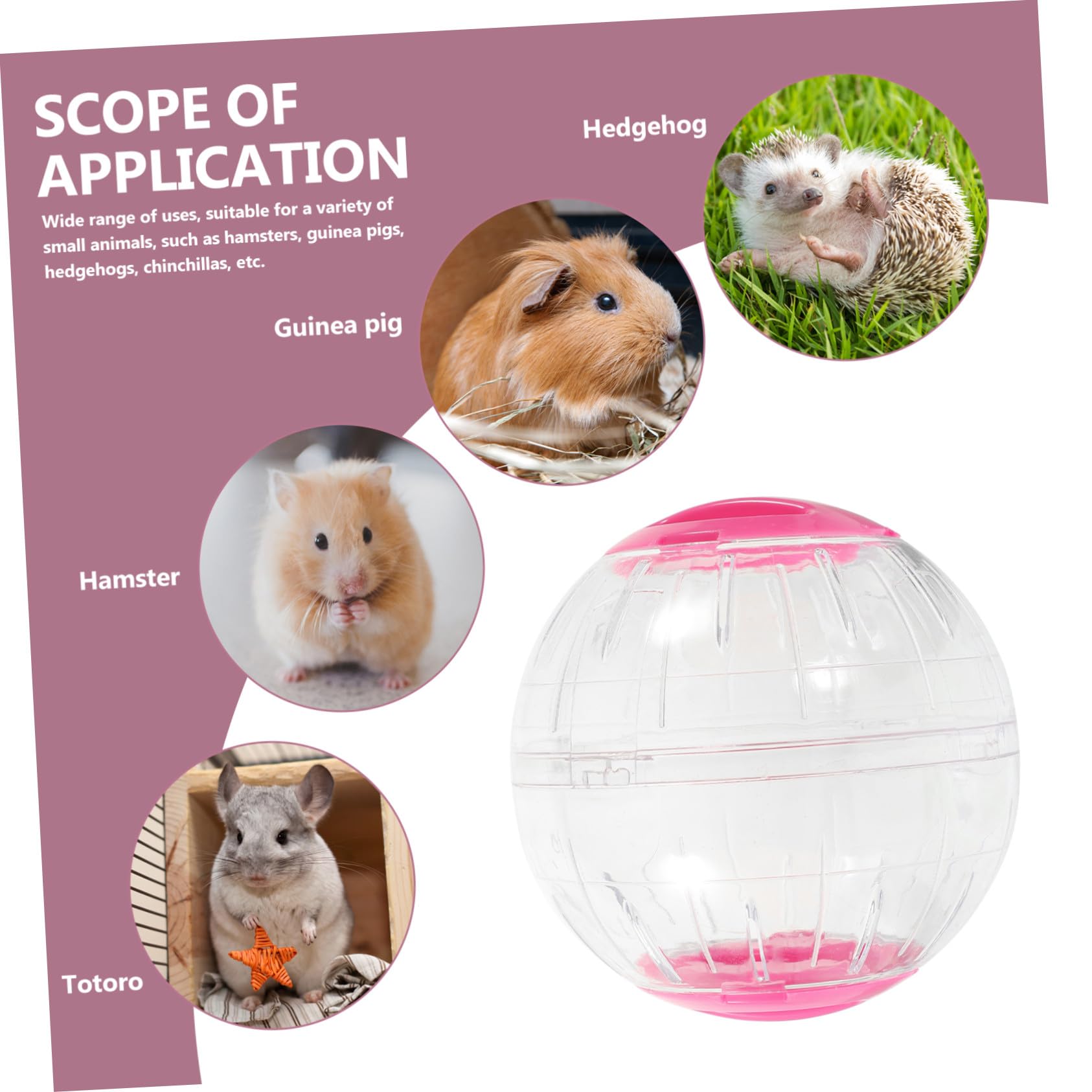 Balle D’Exercice pour Hamster Transparente Antievasion, Lot de 4
