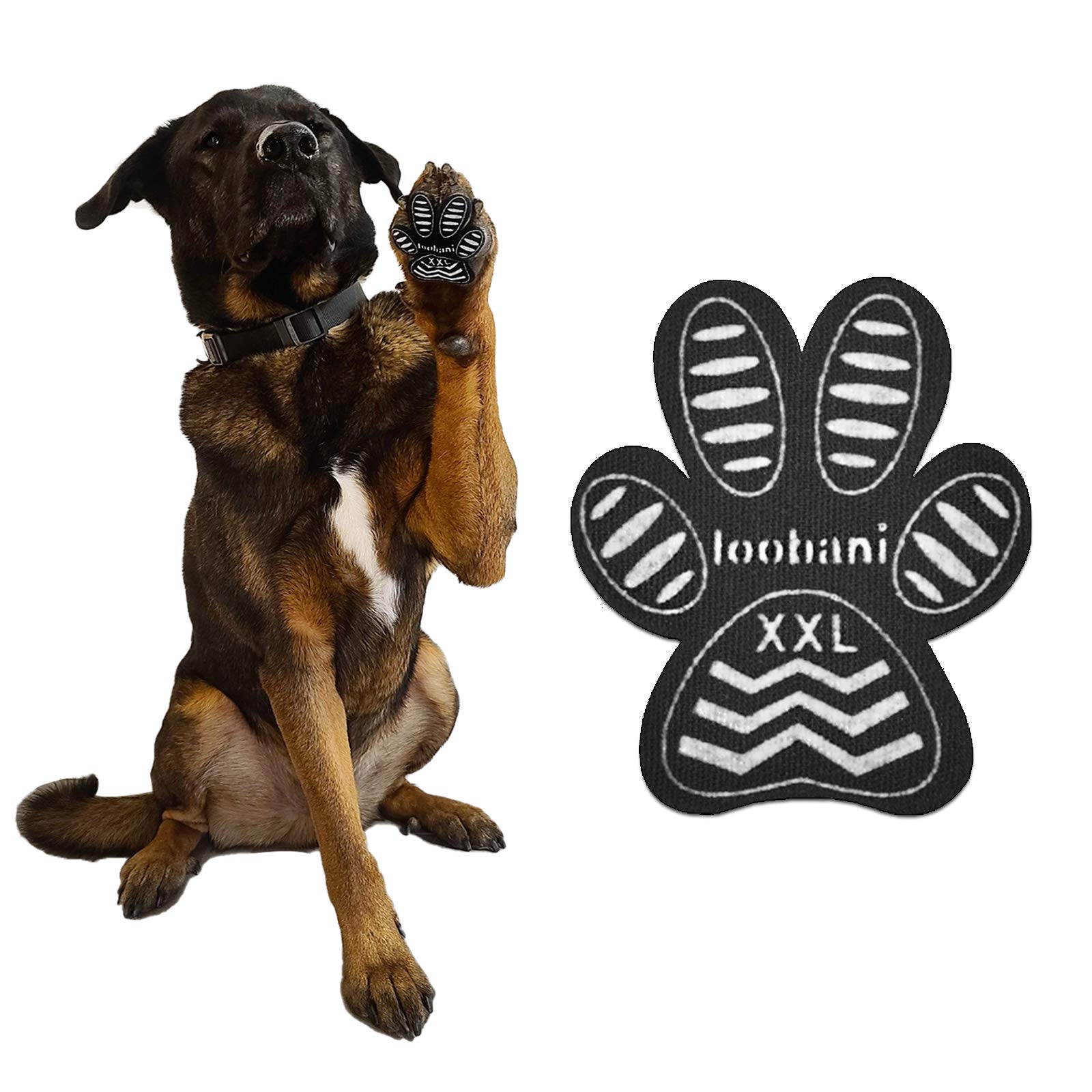LOOBANI Dog Traction Pad Paw Protector PadGrips for Slippery Floors, Friction Anti-Slip Pads for Grip on Slick Surfaces, Walk Assistant for Your Senior Dogs(12 Sets 48 Pads-XL)