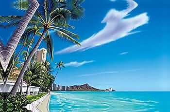 71RAItJuNLL._AC_UF350,