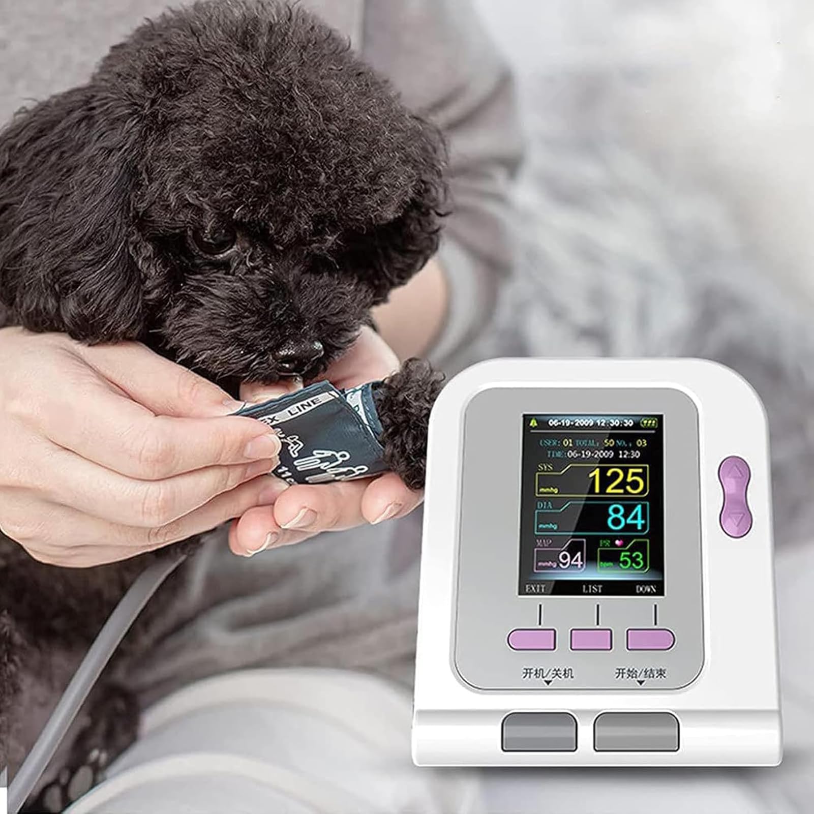 Ciśnieniomierz, automatyczny pomiar elektroniczny Sphygmomanom z 3 mankietami, wyświetlacz LCD 7.1 cm, cyfrowy weterynaryjny ciśnieniomierz dla psów, kotów, zwierząt domowych