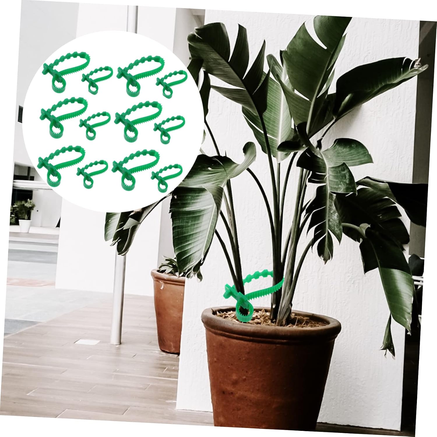 Outanaya Tree Plant Cable Ties 10 Pcs Thicken Straps Garden Ties Green Binder Twine Easy to Use for Plants