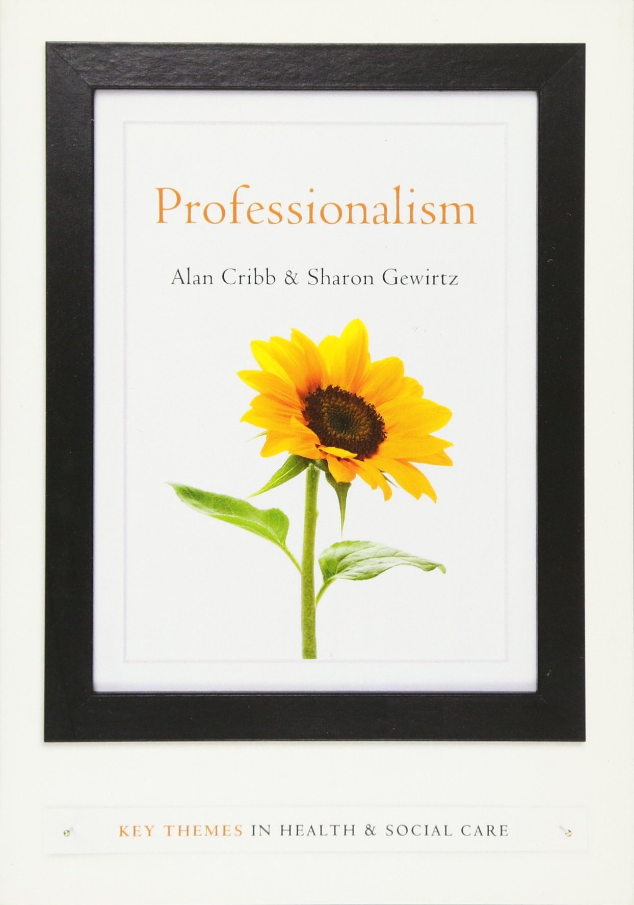 Professionalism (Key Themes in Health and Social Care)