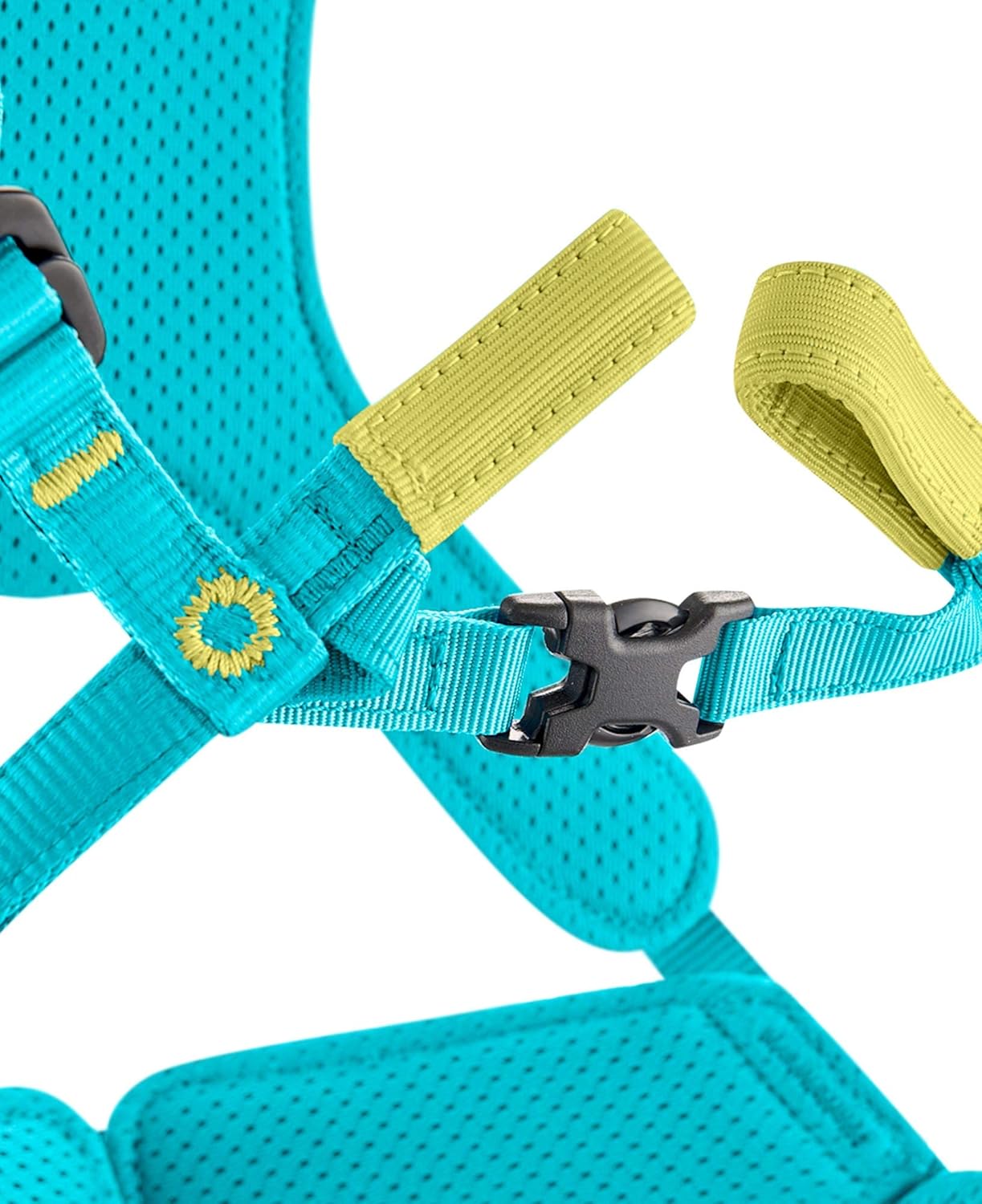 Kids' Edelrid Fraggle Harness
