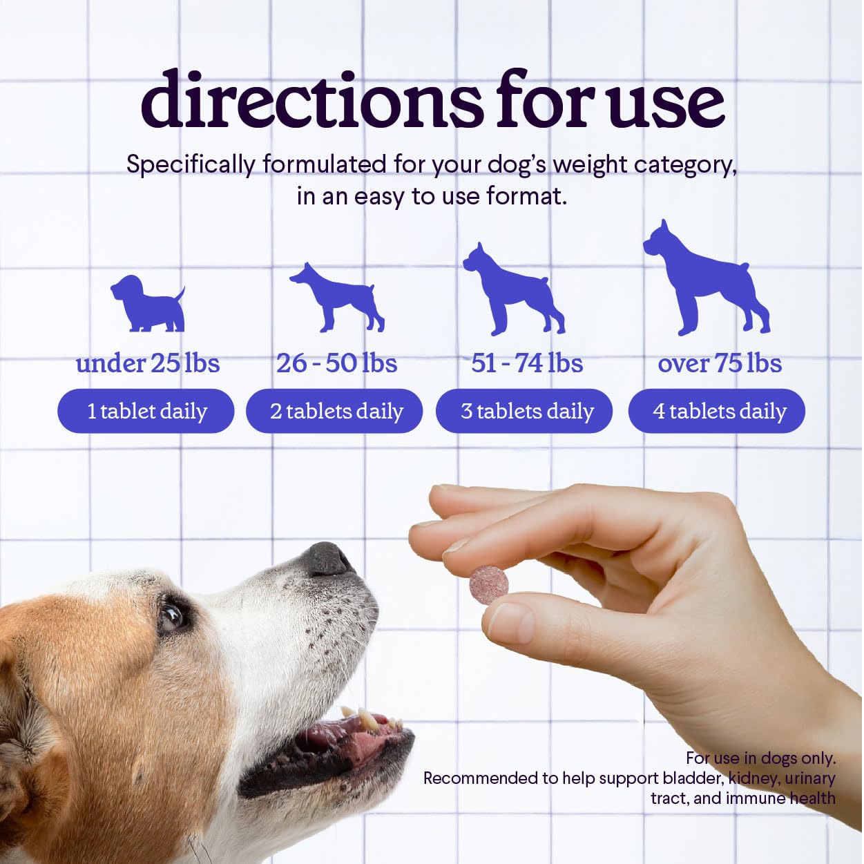 Cranberry Supplement for Dogs UTI - Urinary Tract & Bladder Chewables 120ct — Amazon image 5