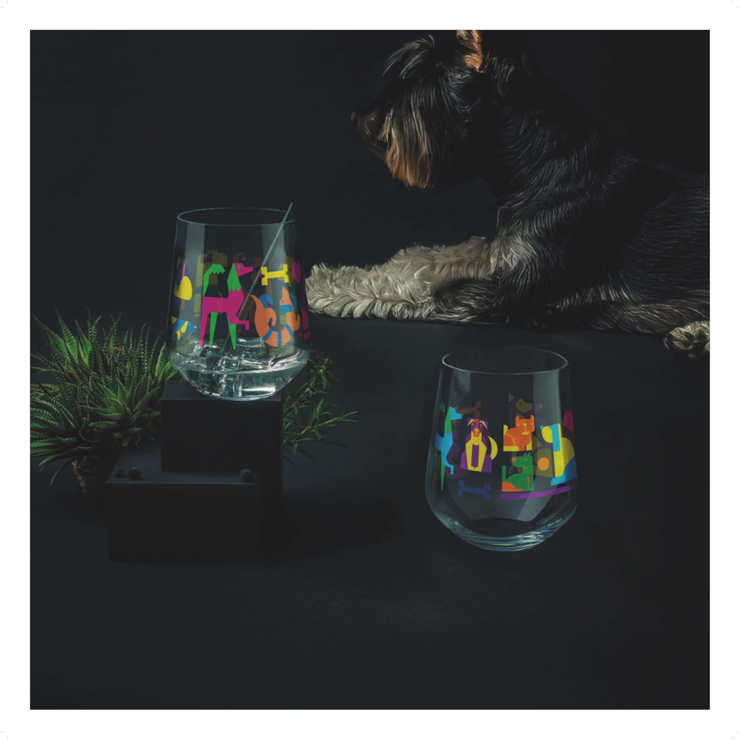 3801002 Verre À Gin Set 700 Ml - Série Botanic Glamour N° 1-2 Pièces