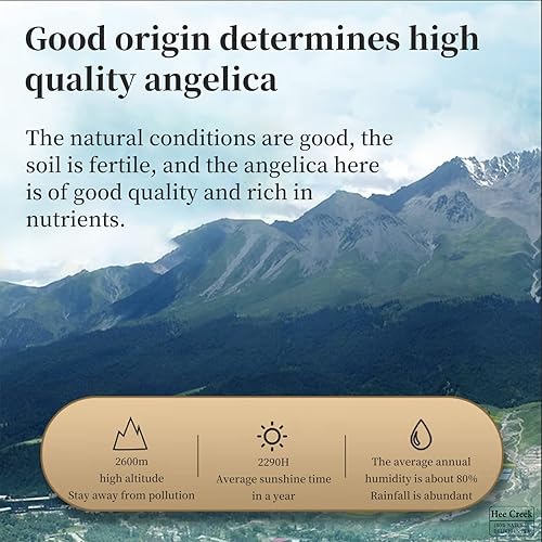 Miniatura 2 de Hee Creek Rebanadas grandes de raíz de angélica 7.05 oz200 g Dang Gui té chino seco Angelica Sinensis Dong Quai té de hierbas natural,