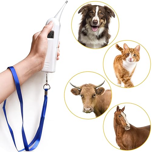 Miniatura 5 de Termómetro de detección de fiebre precisa para mascotas, monitor de temperatura animal, termómetro veterinario digital de lectura rápida para perro,